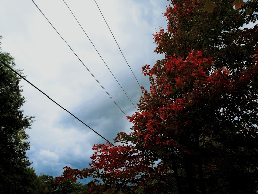 Department Store «Walmart Supercenter», reviews and photos, 742 Main St, North Oxford, MA 01537, USA