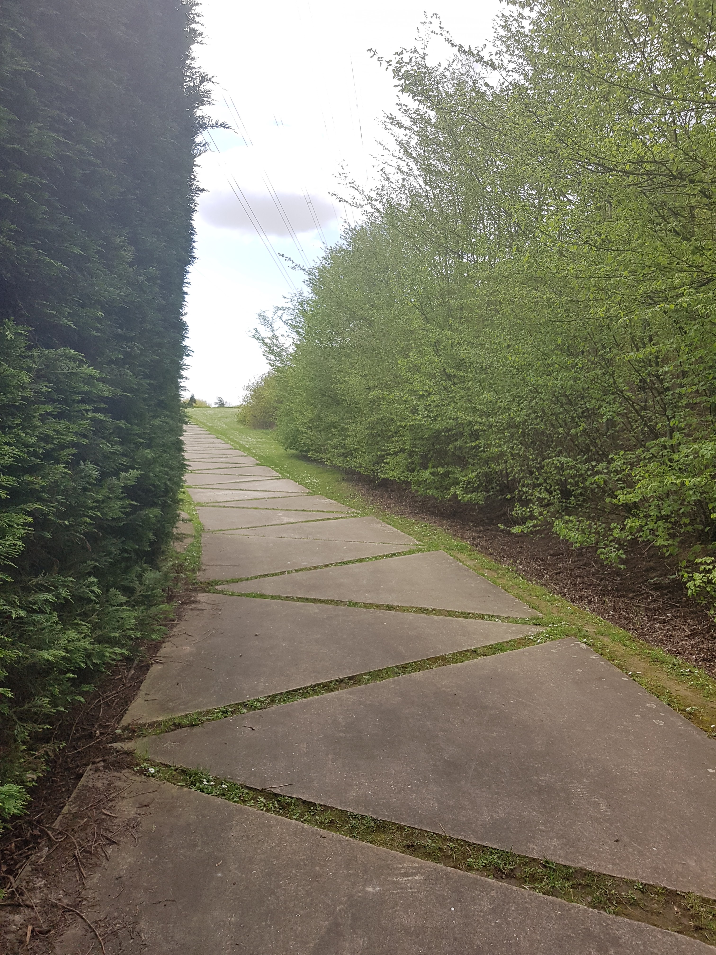 Photo n° 15 de l'avis de Mériame. fait le 16/04/2018 à 15:22