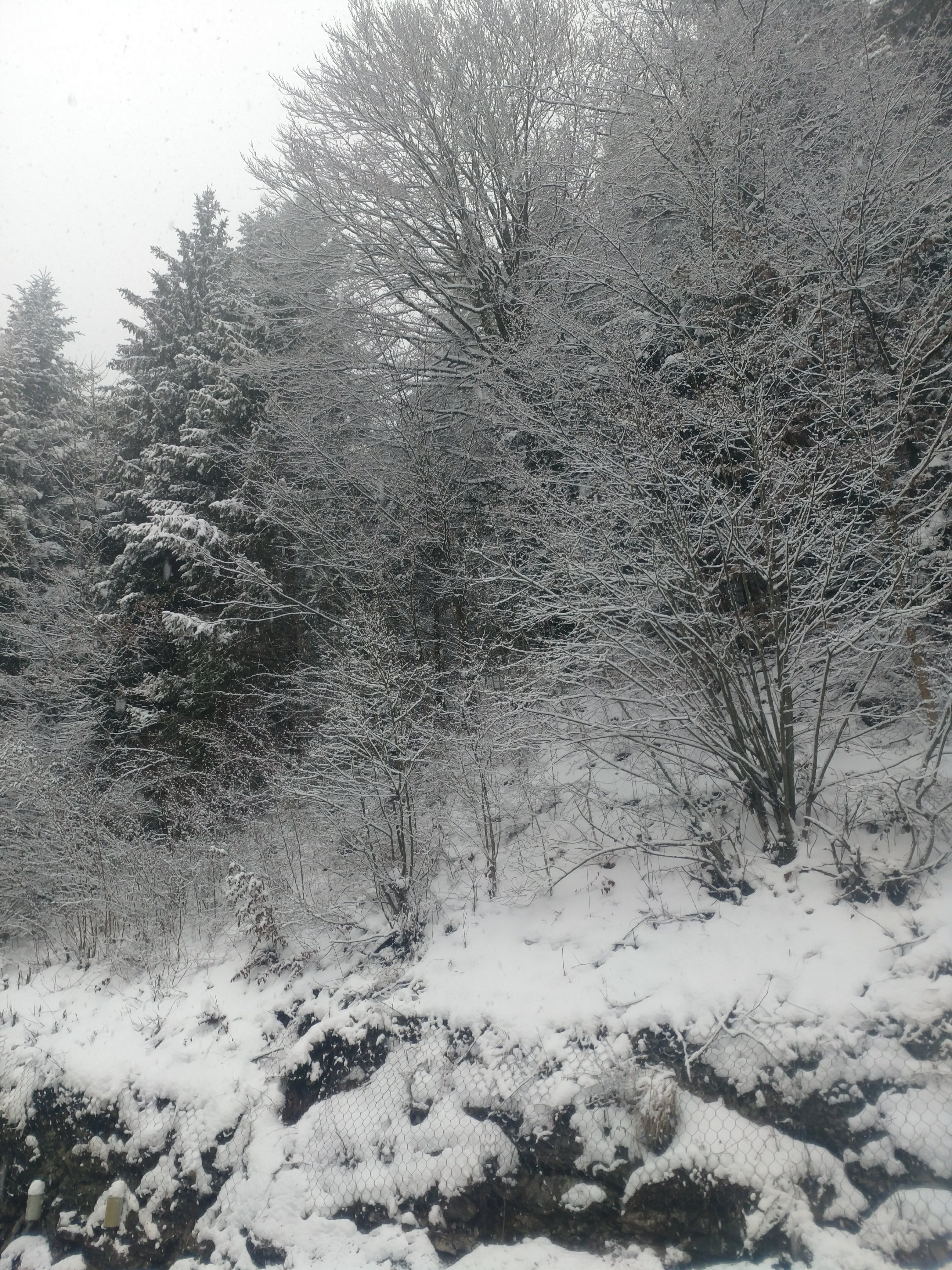 Photo n° 17 de l'avis de Oussem.e fait le 17/03/2018 à 10:58