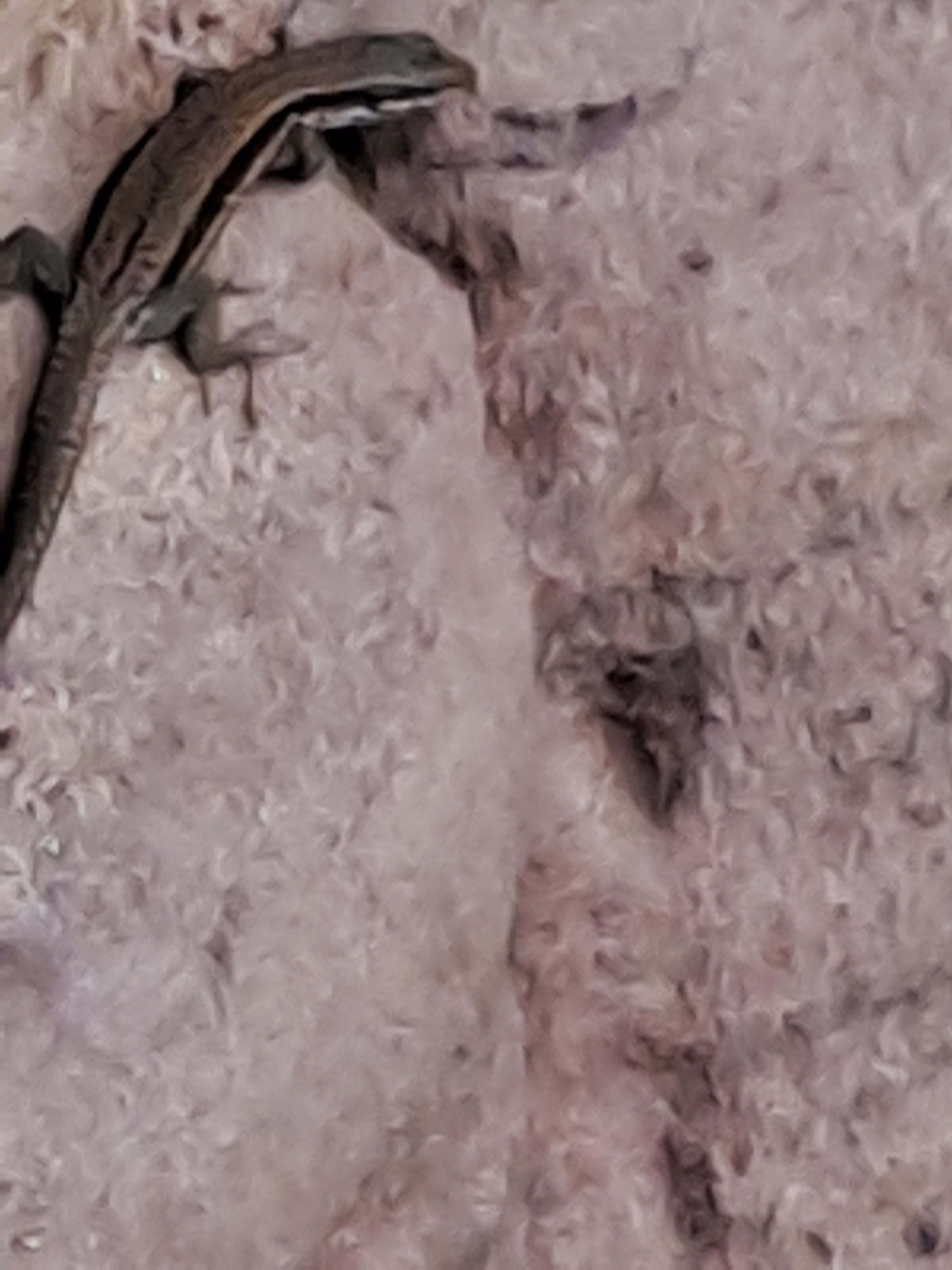 Photo n° 5 de l'avis de Michael.p fait le 27/09/2022 à 18:02