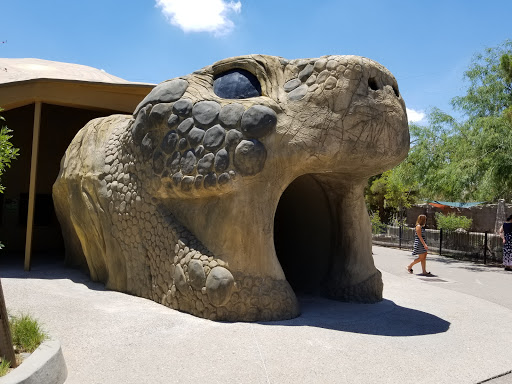 El Paso Zoo and Botanical Gardens image 4