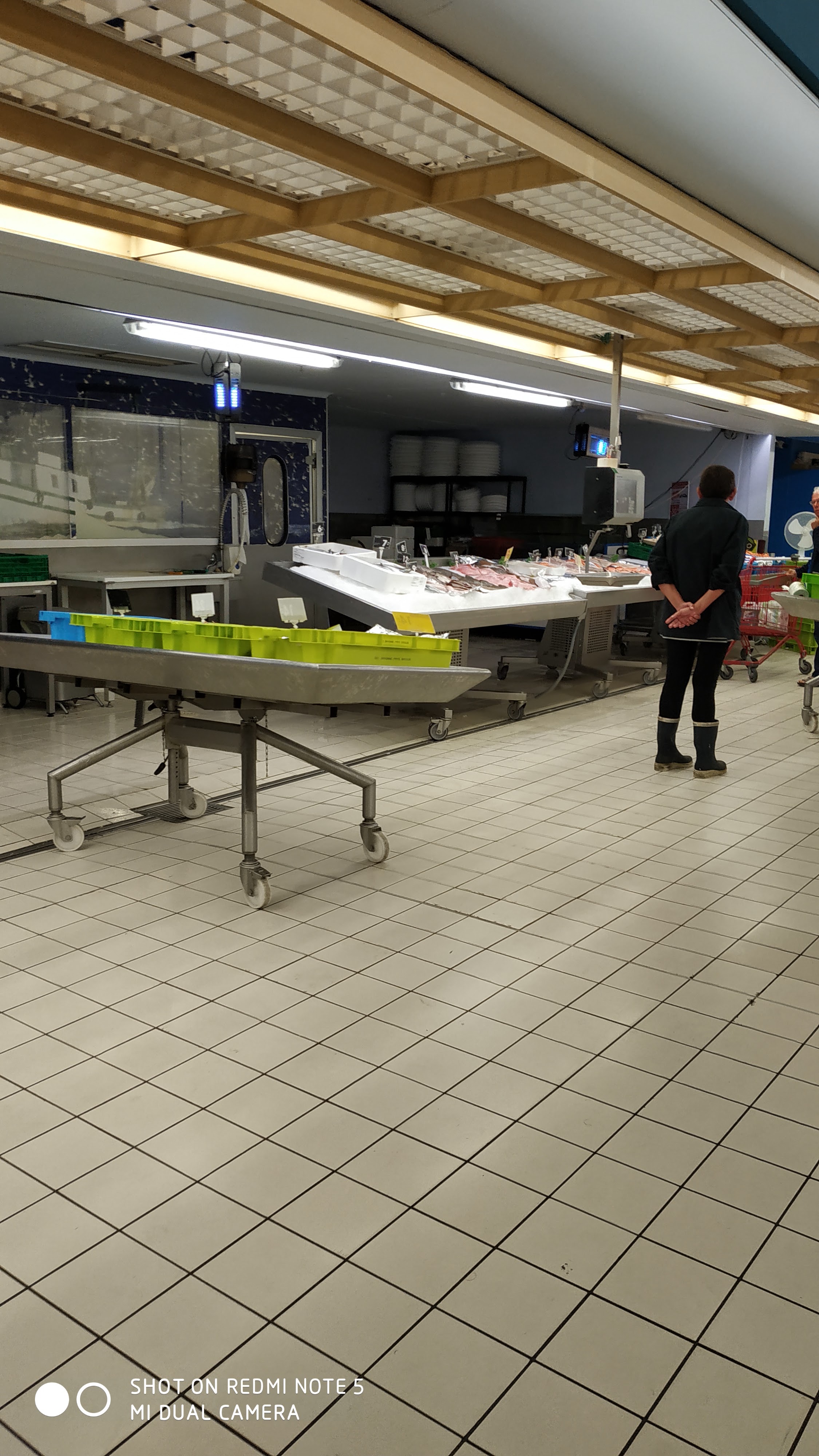 Photo n° 6 de l'avis de Nael.e fait le 22/08/2019 à 09:40