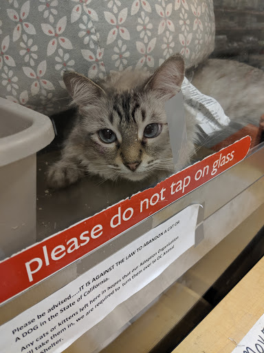 Pet Supply Store «PetSmart», reviews and photos, 1411 S Harbor Blvd, Fullerton, CA 92832, USA