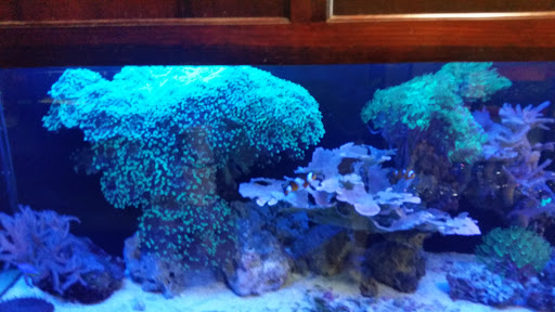 Pet Store «Wet Pets», reviews and photos, 3010 McGehee Rd, Montgomery, AL 36111, USA