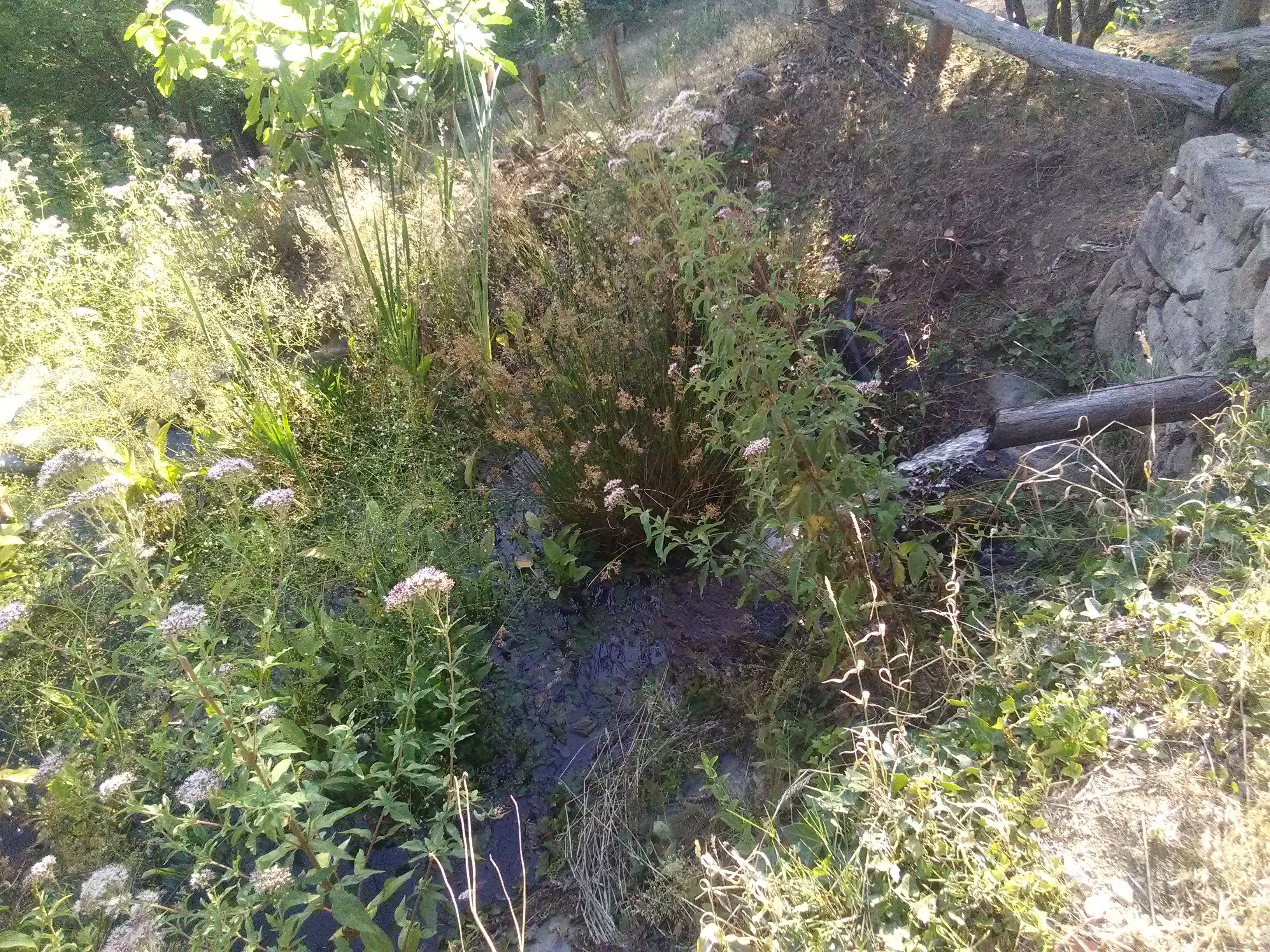 Photo n° 5 de l'avis de GoutteGoutte.. fait le 10/09/2019 à 20:16