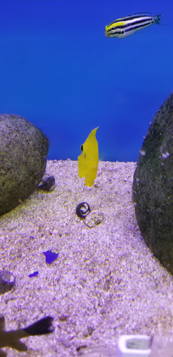 Pet Supply Store «Petco Animal Supplies», reviews and photos, 3430 W State St, Grand Island, NE 68803, USA