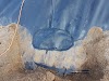 Viveros Sunnyridge Ltda Logo, Melipilla A Wɔfrɛ No Melipilla, Chile, Farm