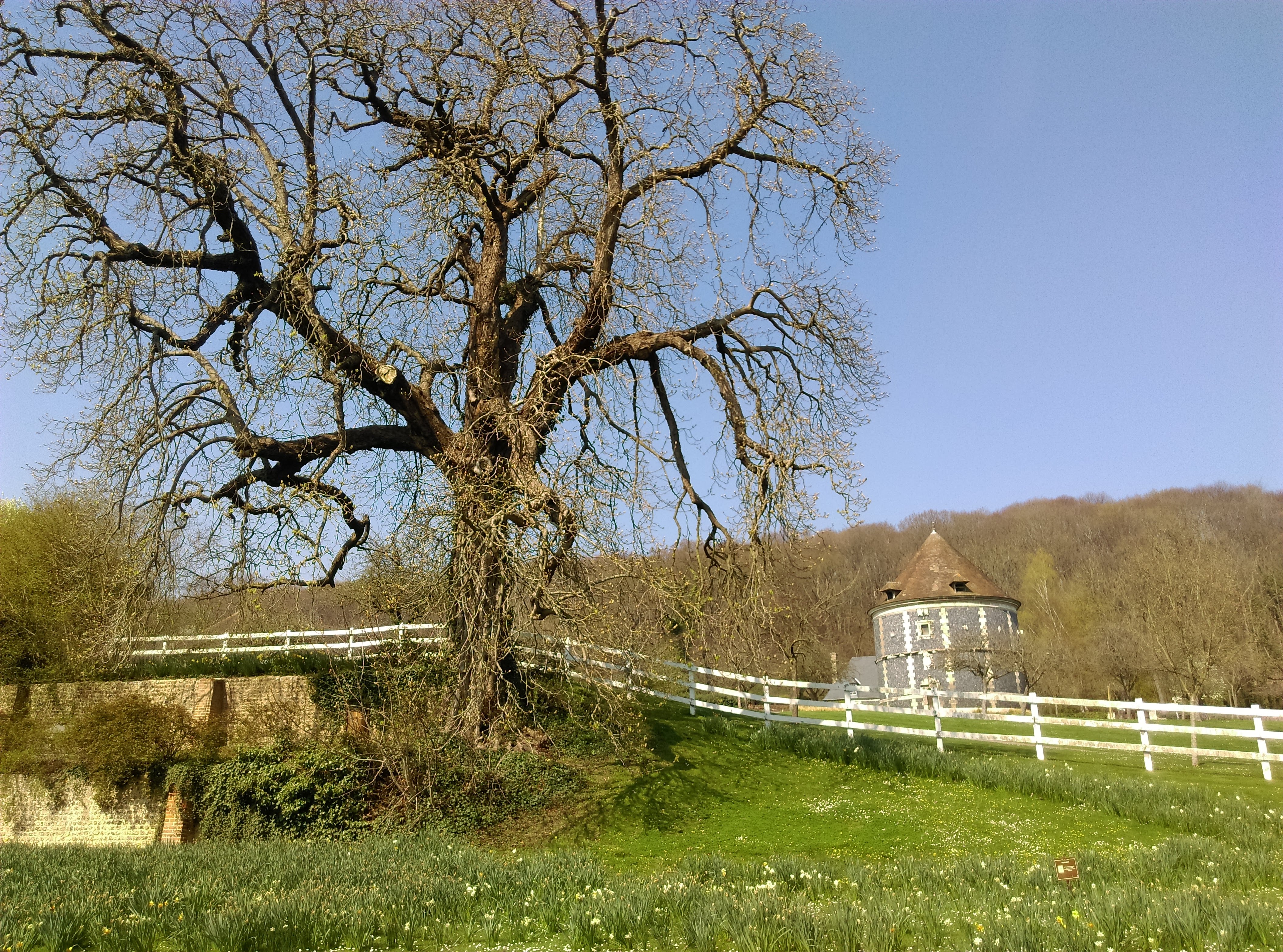 Photo n° 2 de l'avis de Brigitte.o fait le 08/05/2018 à 17:56