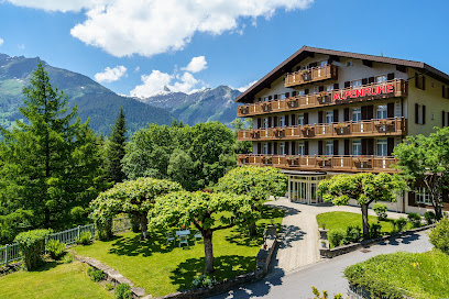 Alpenruhe Wengen - Vintage Design Hotel