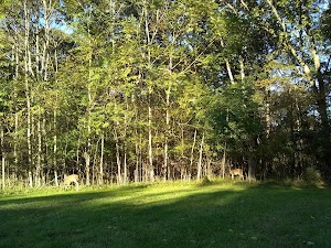 Sweetbriar Park - photo 48