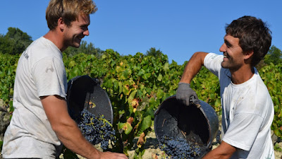 Domaine Ferme des Arnaud à Villedieu