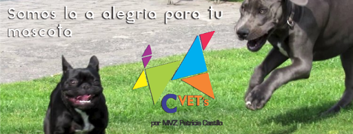 Clinica Veterinaria C Vets