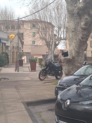 Résidence des Petits Ponts à Vedène