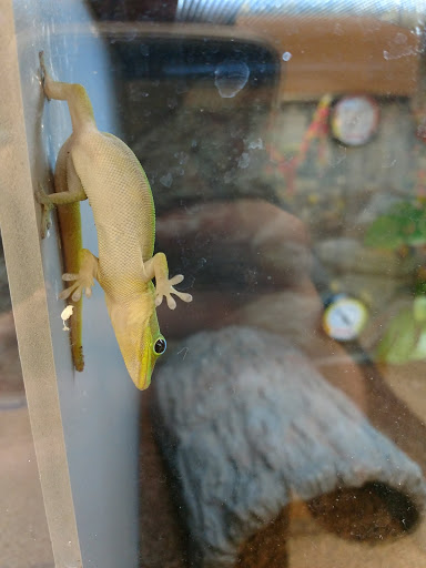 Pet Supply Store «Petco Animal Supplies», reviews and photos, 1203 SE Everett Mall Way f, Everett, WA 98208, USA