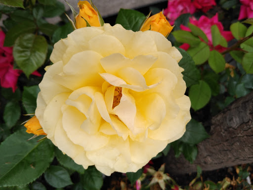 Movie Theater «United Artists Court Street 12 & RPX», reviews and photos, 106 Court St, Brooklyn, NY 11201, USA