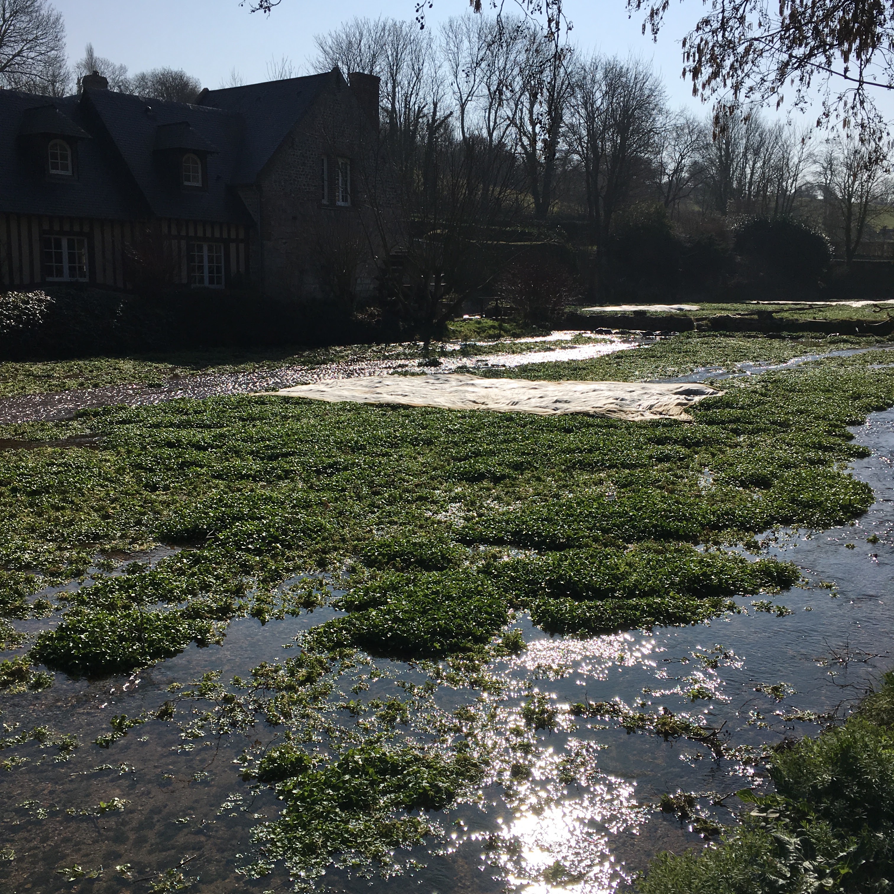Photo n° 1 de l'avis de Jean-Bernard.A fait le 05/03/2019 à 12:15