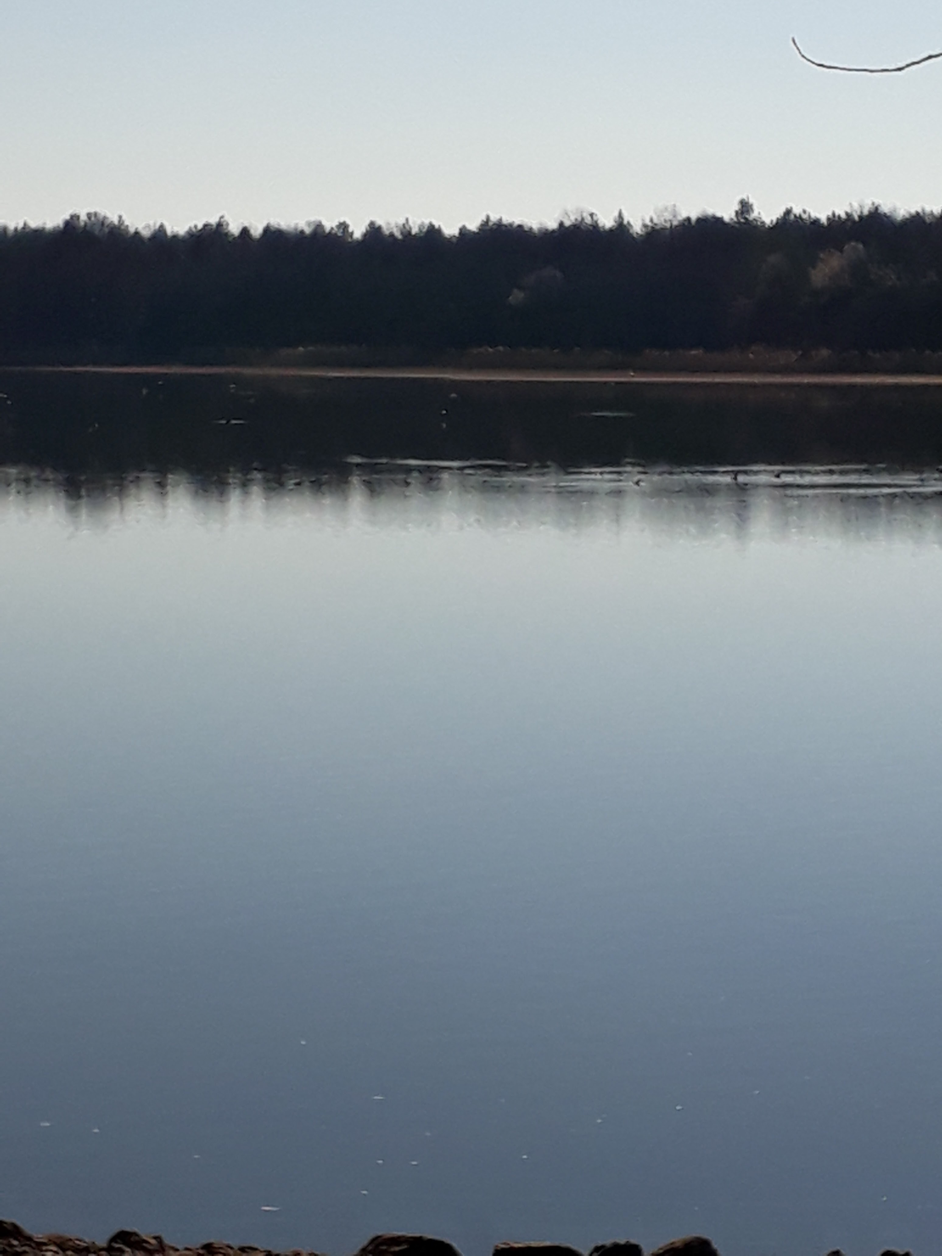 Photo n° 3 de l'avis de Catherine. fait le 04/03/2019 à 16:53