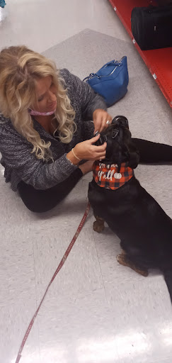 Pet Supply Store «Petco Animal Supplies», reviews and photos, 2520 E 3rd St, Bloomington, IN 47401, USA