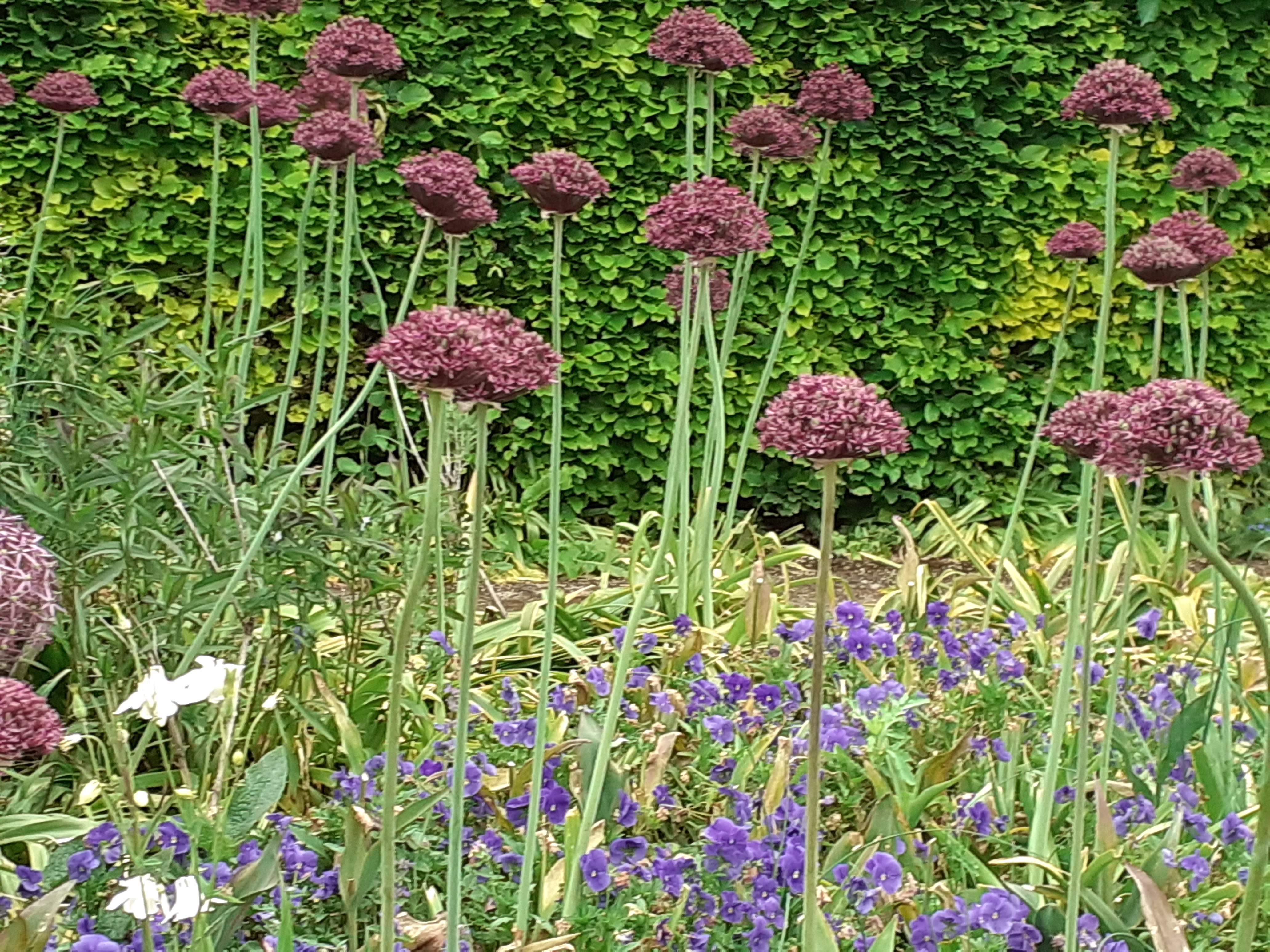 Photo n° 1 de l'avis de Chantal.a fait le 23/05/2023 à 20:43