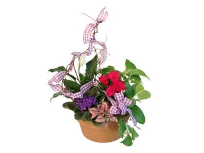 Florist «Lucilles Floral of Fishkill», reviews and photos, 17 Church St, Fishkill, NY 12524, USA