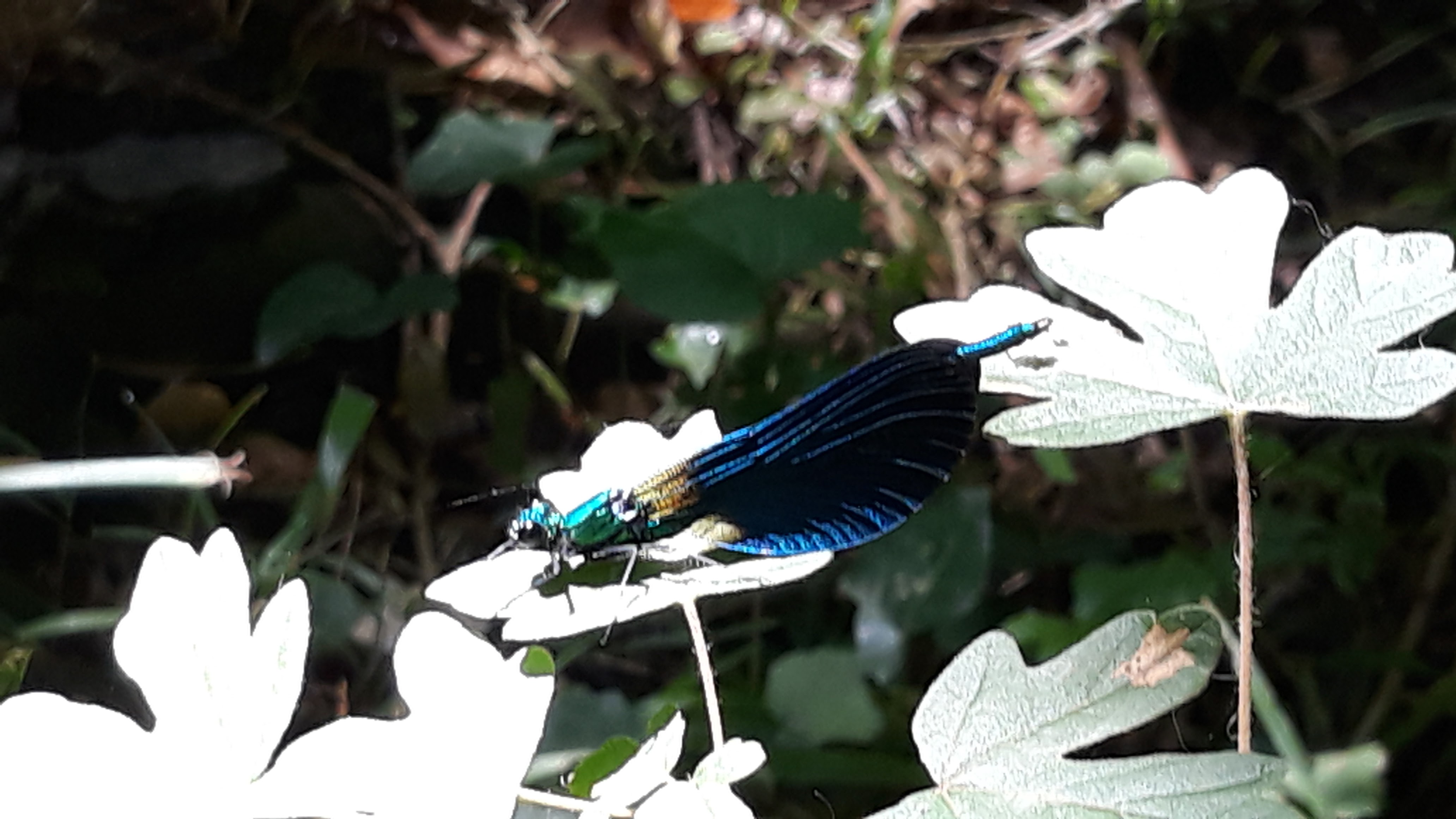 Photo n° 4 de l'avis de Pascale.r fait le 10/07/2019 à 20:36