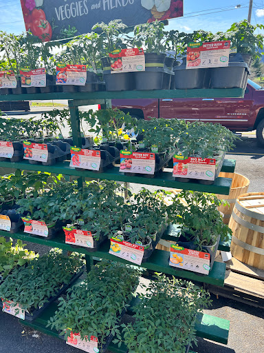 Home Improvement Store «Tractor Supply Co.», reviews and photos, 2606 Minnich Trail, Kingsport, TN 37660, USA