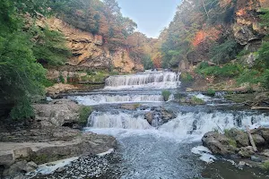 Willow Falls image