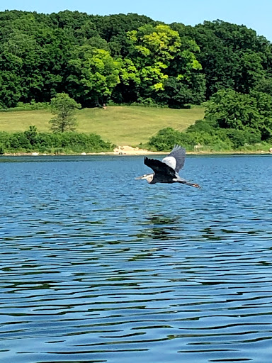 Nature Preserve «Blackwell Forest Preserve», reviews and photos, Butterfield Rd, Warrenville, IL 60555, USA