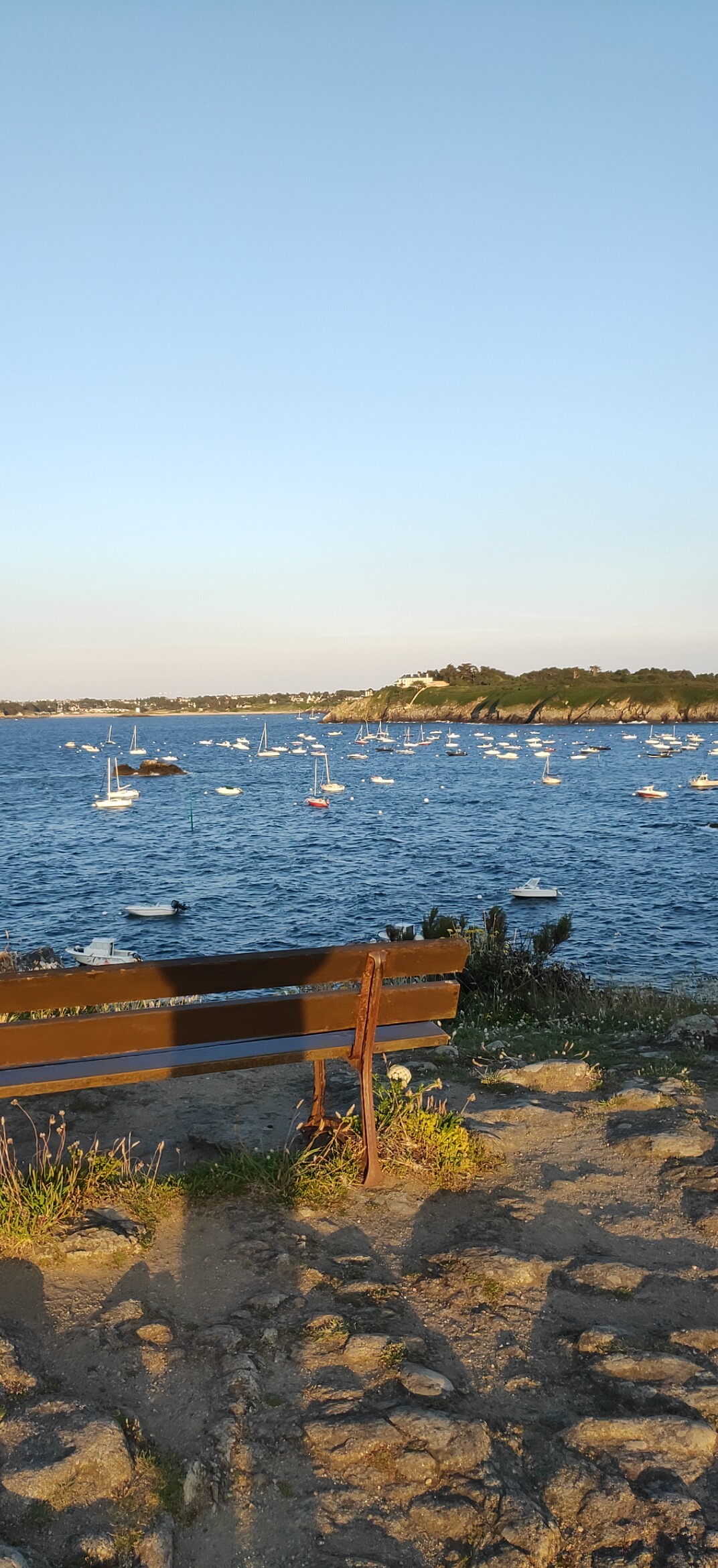 Photo n° 1 de l'avis de Marc.e fait le 09/07/2019 à 06:21