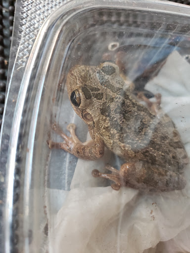 Pond Fish Supplier «Aquarium & Imports Inc.», reviews and photos, 2639 Hendersonville Rd, Arden, NC 28704, USA