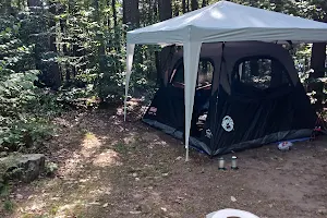 Tolland State Forest Campground image