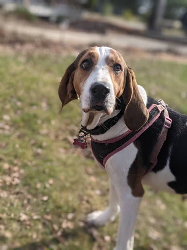 Winery «Fireside Winery», reviews and photos, 1755 P Ave, Marengo, IA 52301, USA