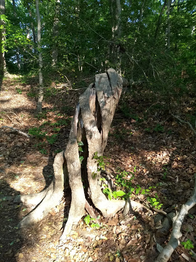 Park «Government Island», reviews and photos, 191 Coal Landing Road, Stafford, VA 22554, USA