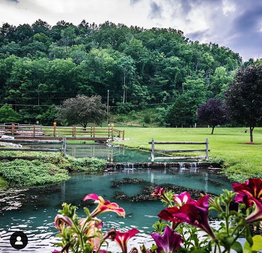 Resort «Smoke Hole Caverns», reviews and photos, 8290 N Fork Hwy, Cabins, WV 26855, USA