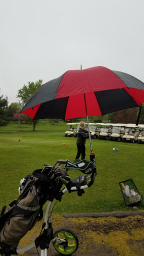 Golf Course «Pine Hills Golf Course», reviews and photos, 6603 Woodbury Rd, Laingsburg, MI 48848, USA