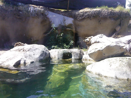 Zoo «Hogle Zoo», reviews and photos, 2600 Sunnyside Ave S, Salt Lake City, UT 84108, USA