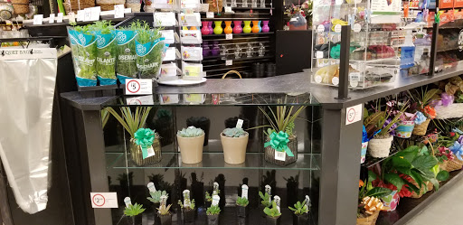 Grocery Store «Winn-Dixie», reviews and photos, 9864 Stringfellow Rd, St James City, FL 33956, USA