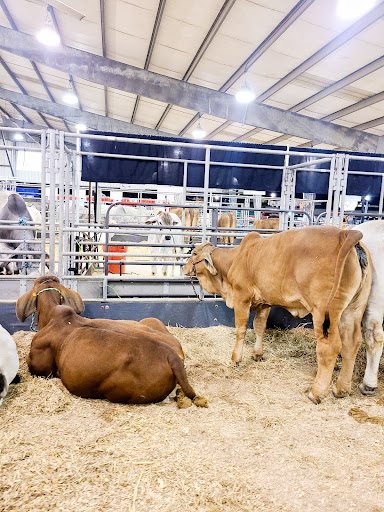 Rio Grande Valley Livestock Show Grounds