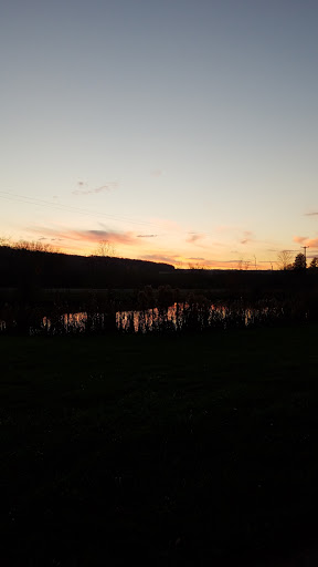 Motorcycle Dealer «Tryals Shop», reviews and photos, 616 NY-38, Locke, NY 13092, USA