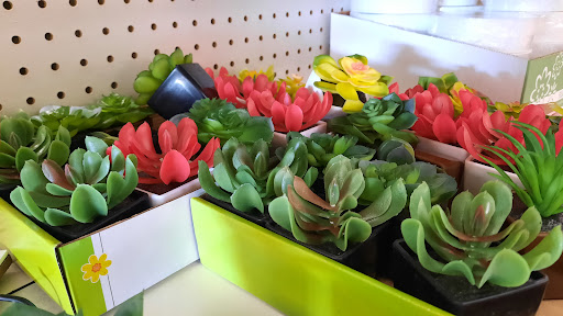 Dollar Store «Dollar Tree», reviews and photos, 823 N Broad St, Middletown, DE 19709, USA