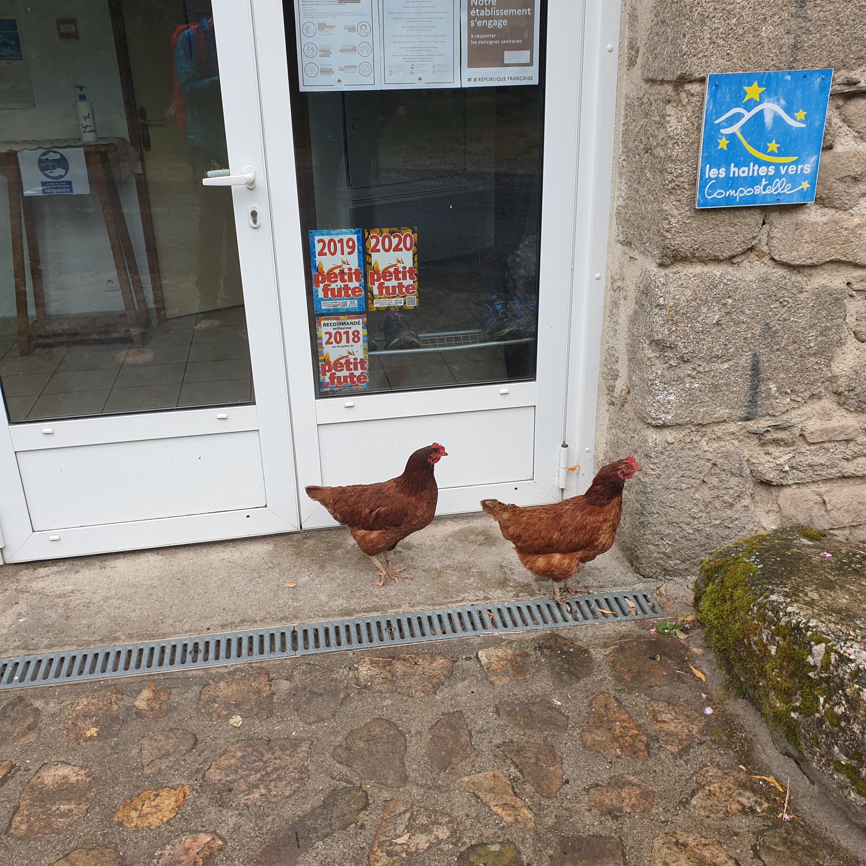 Photo n° 2 de l'avis de Eduardo.U fait le 16/07/2020 à 05:24