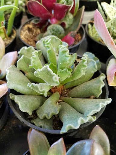 Home Improvement Store «The Home Depot», reviews and photos, 6921 Walton Ln, Gloucester Courthouse, VA 23061, USA