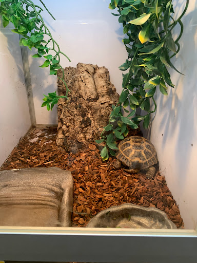 Pet Supply Store «Pet Supermarket», reviews and photos, 1125 Royal Palm Beach Blvd, Royal Palm Beach, FL 33411, USA