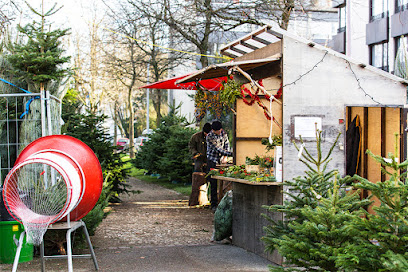 Weihnachtsbaum Basel