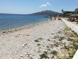 Plaz EOT'in fotoğrafı vahşi alan
