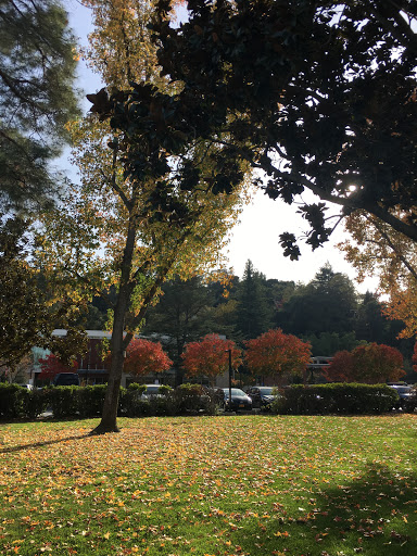 Cafe «Cafe Dio», reviews and photos, 151 E Main St, Los Gatos, CA 95030, USA