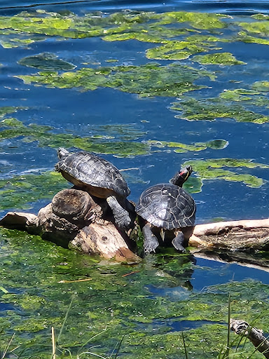 Park «Washington Park», reviews and photos, 701 S Franklin St, Denver, CO 80209, USA