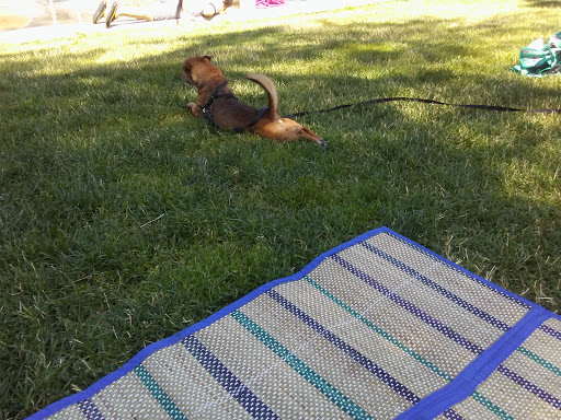 Park «Angle Lake Park», reviews and photos, 19408 International Blvd, SeaTac, WA 98188, USA