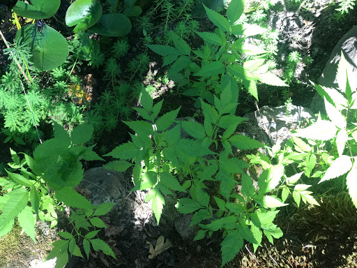 Movie Theater «Regal Cinemas Fox Tower 10», reviews and photos, 846 SW Park Ave, Portland, OR 97205, USA