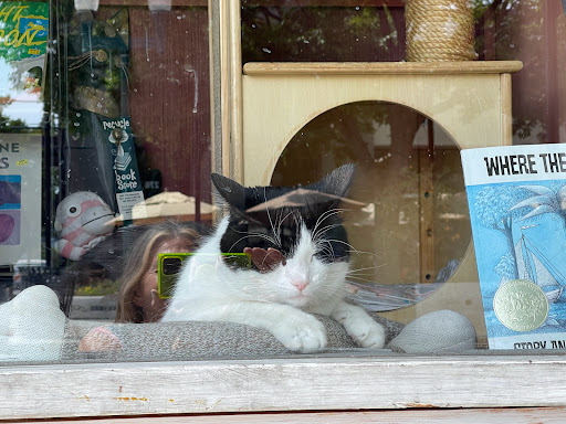 Book Store «Recycle Bookstore West», reviews and photos, 275 E Campbell Ave, Campbell, CA 95008, USA